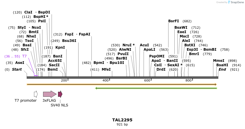 48175_map