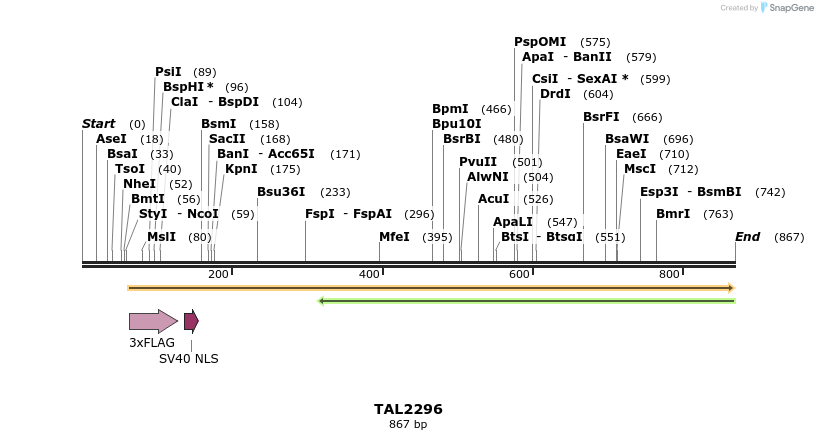 48177_map