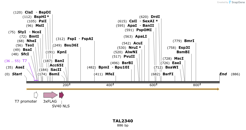 48179_map