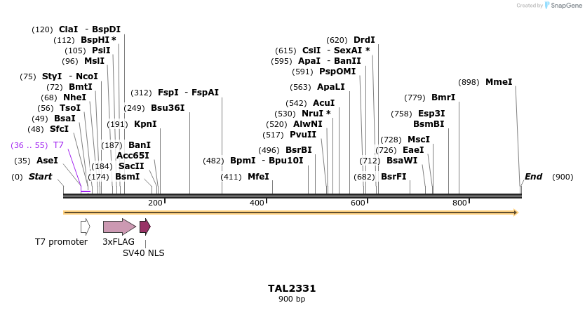 48181_map