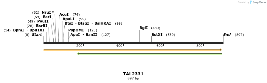 48182_map