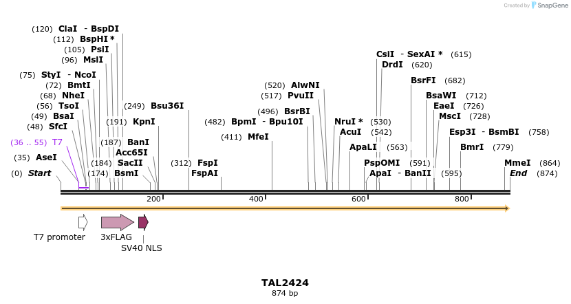 48185_map