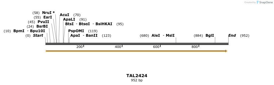 48186_map