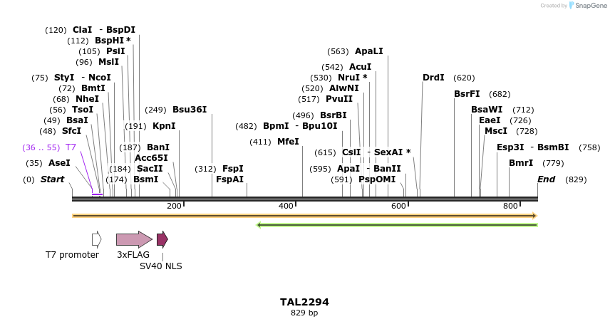 48191_map