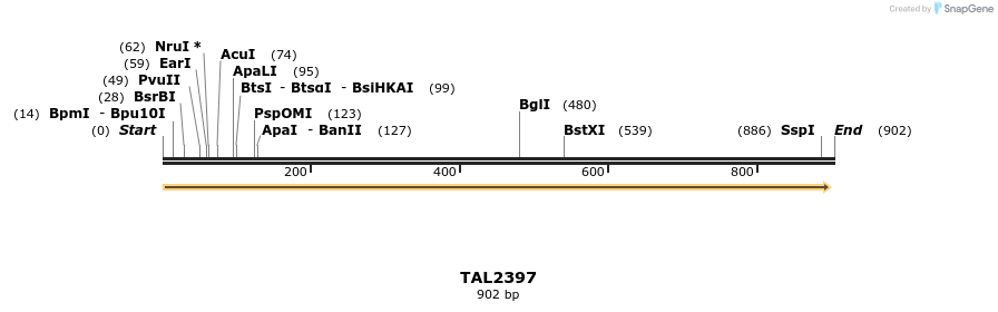 48194_map