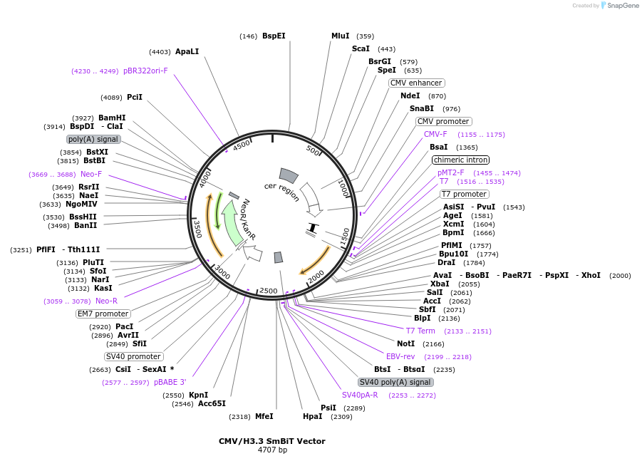 481981_map