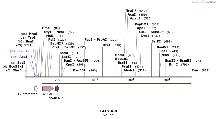 48201_map