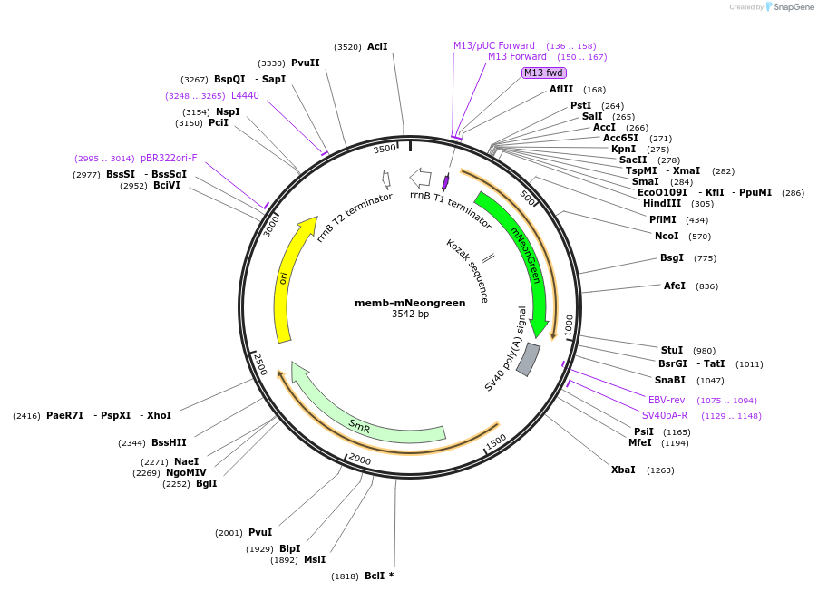 482019_map