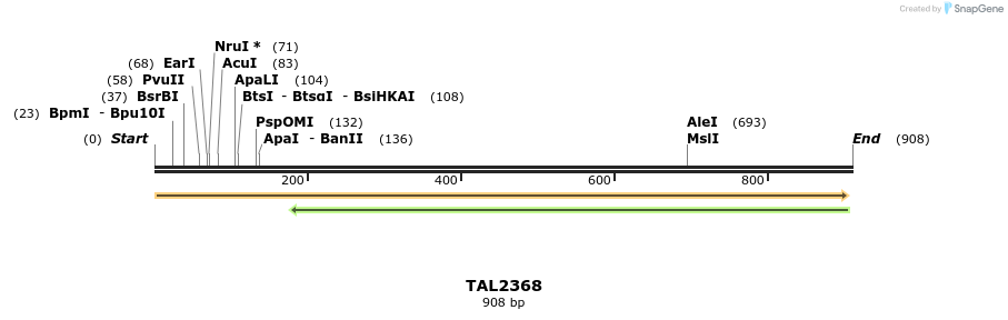 48202_map