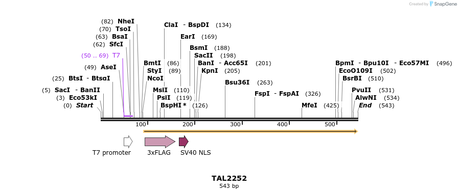 48205_map