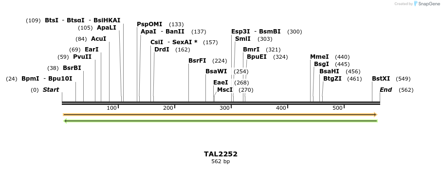 48206_map