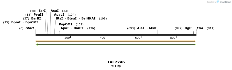 48208_map