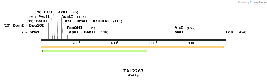 48210_map