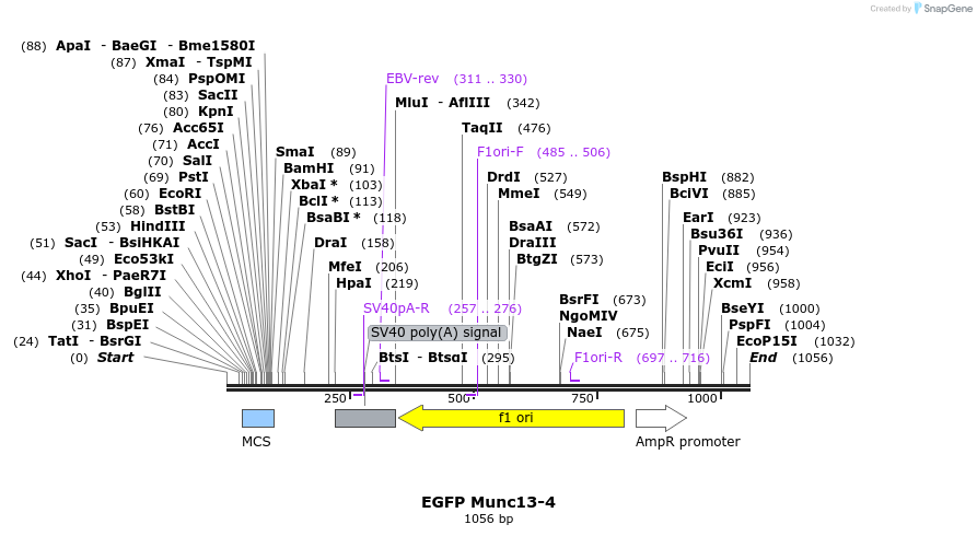 482117_map