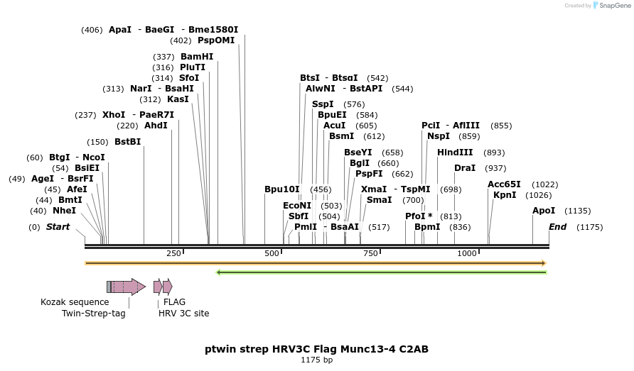 482137_map