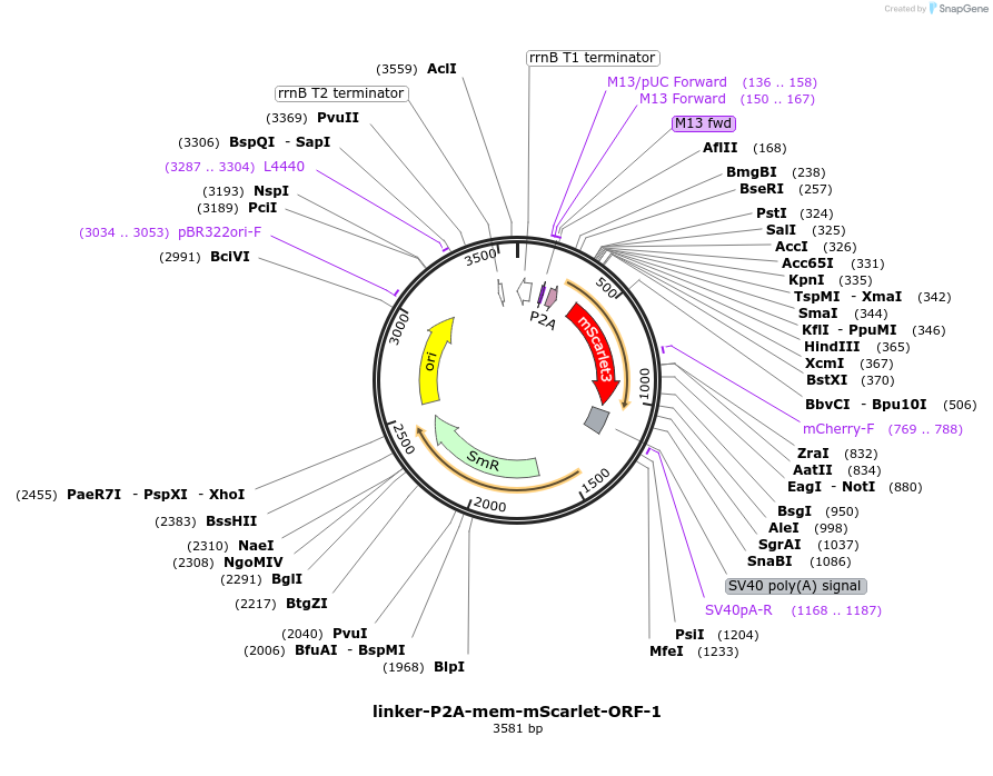 482141_map
