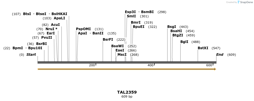 48216_map