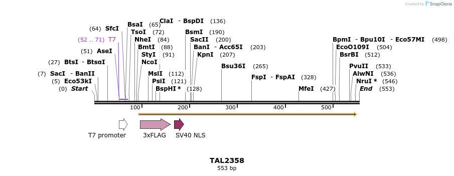 48217_map