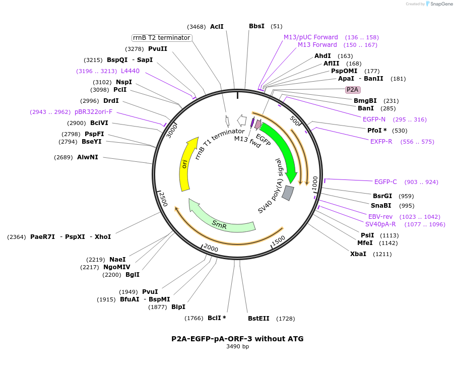 482174_map