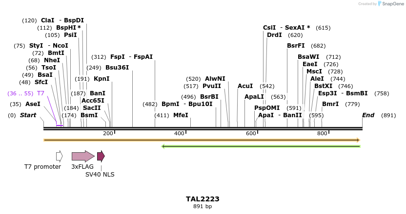 48219_map