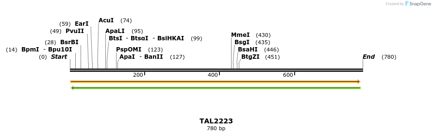 48220_map