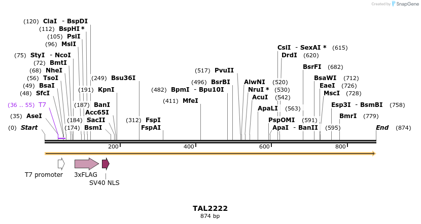 48221_map