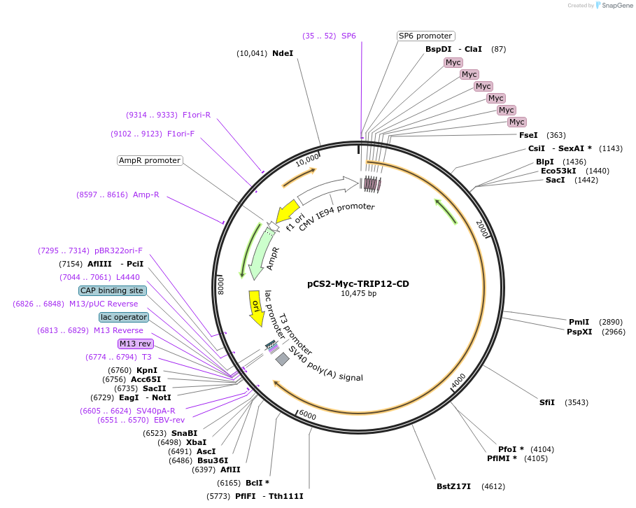 482212_map