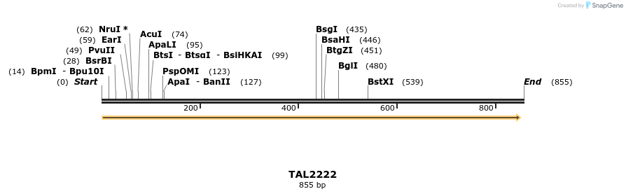 48222_map