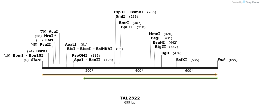 48224_map