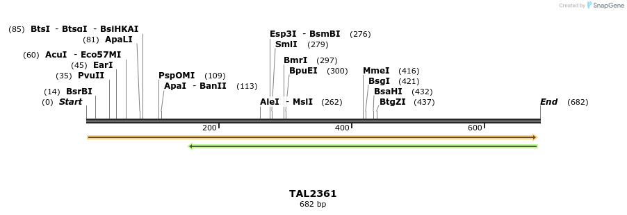48226_map