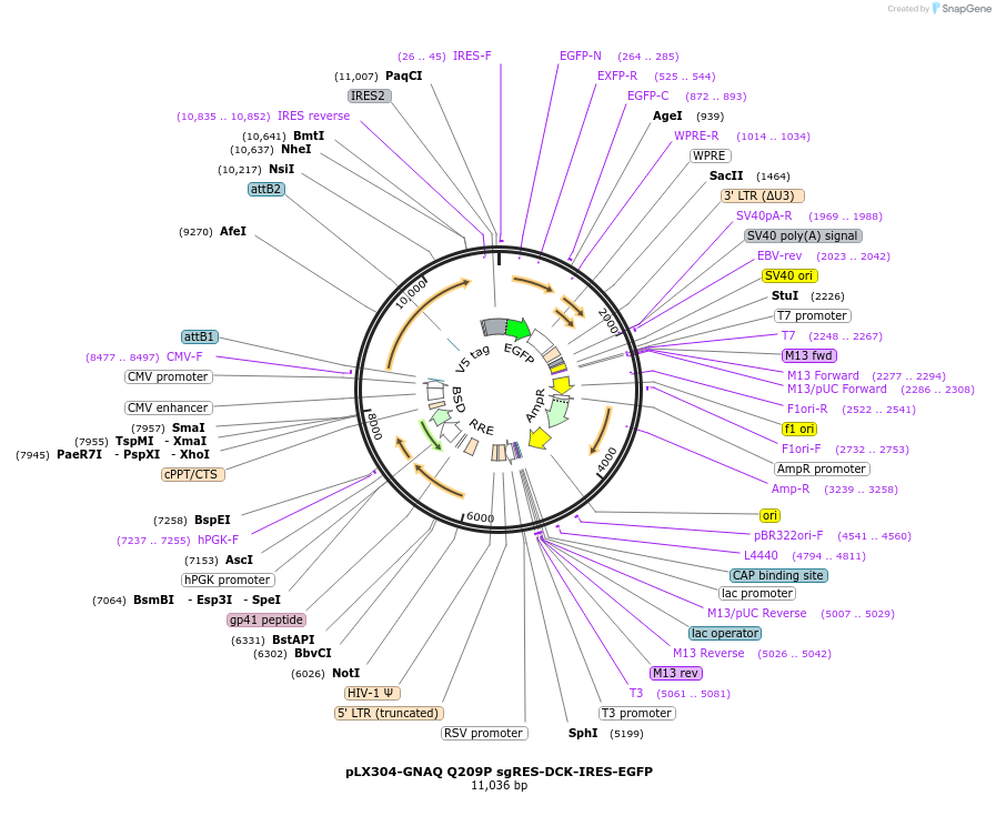 482320_map