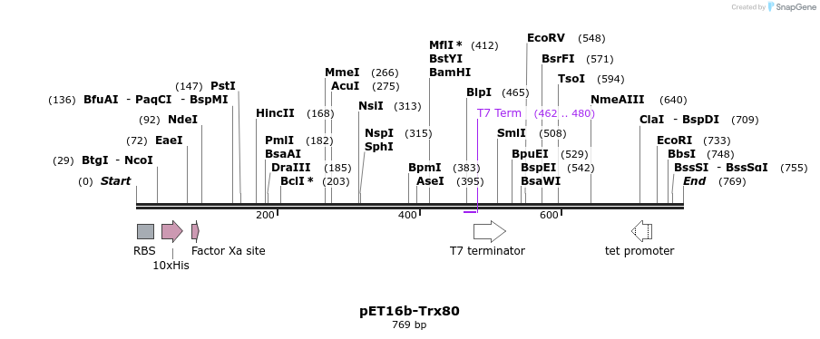 48241_map