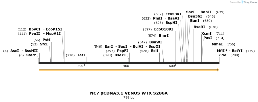 48276_map