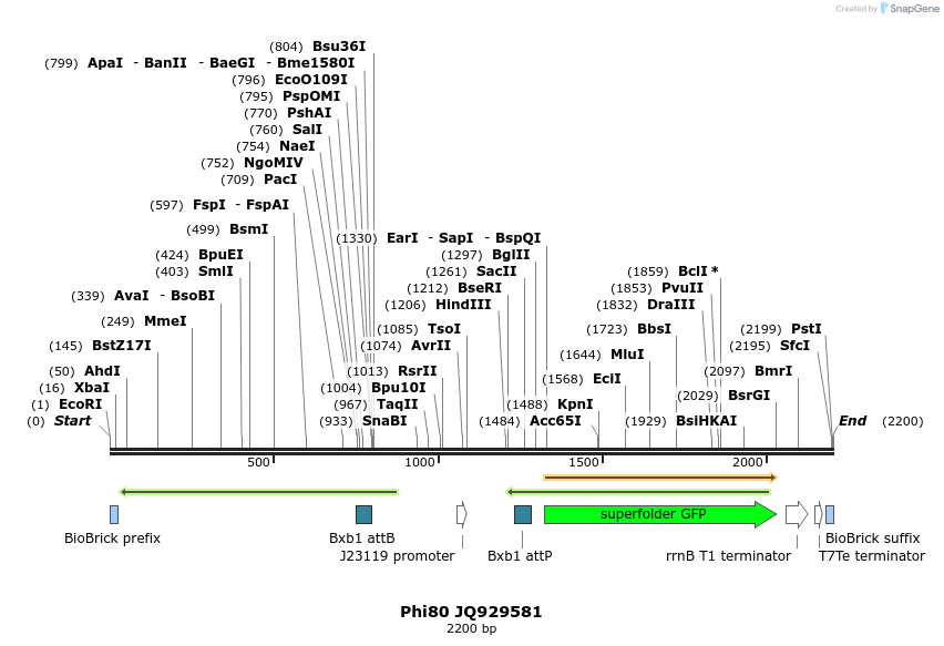 48277_map