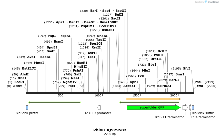 48278_map