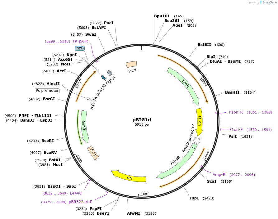 482795_map