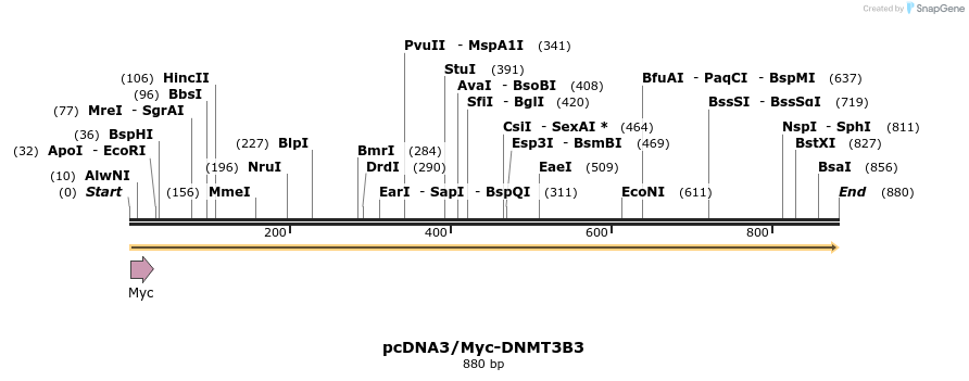 48302_map