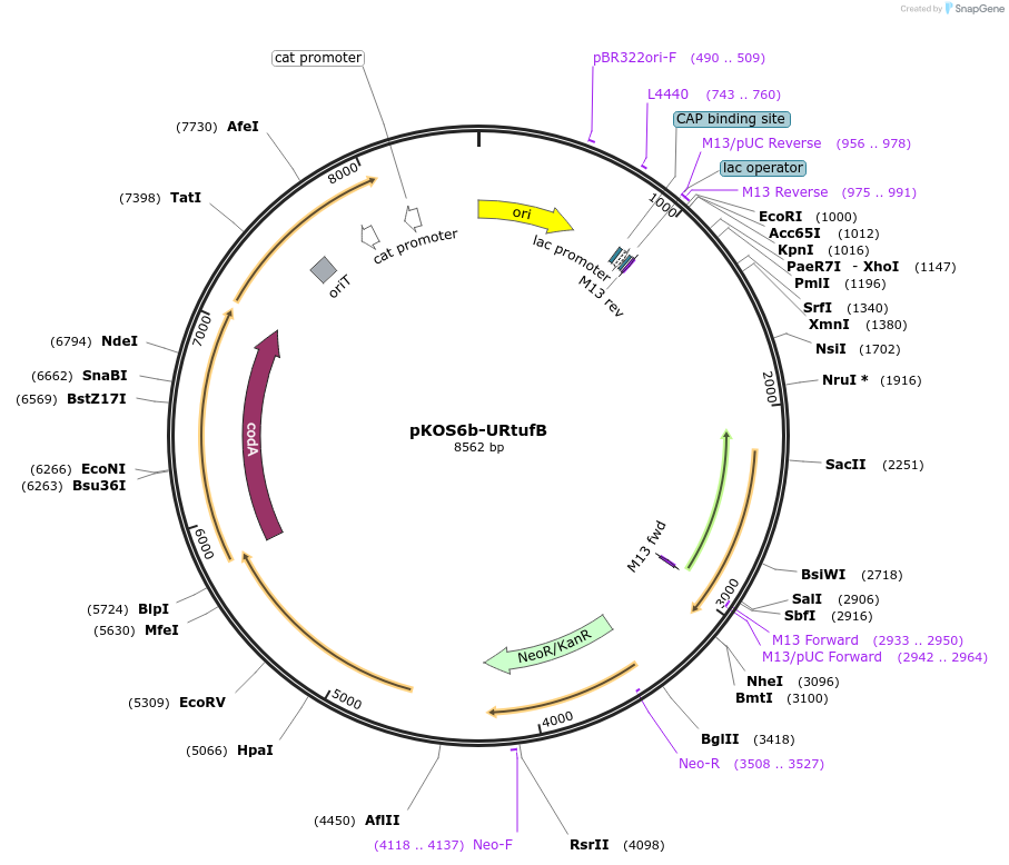 483097_map