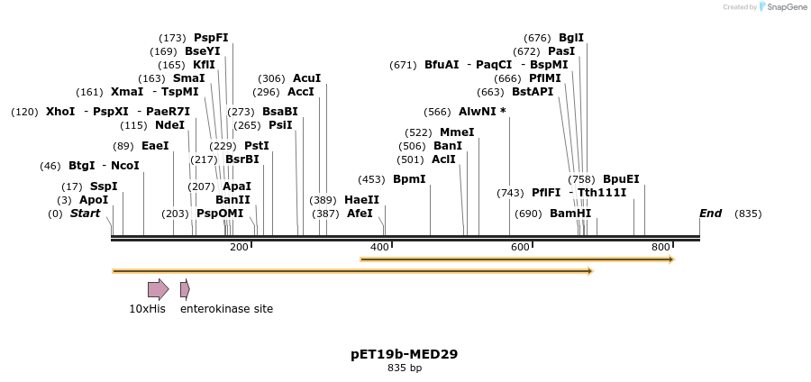 48312_map