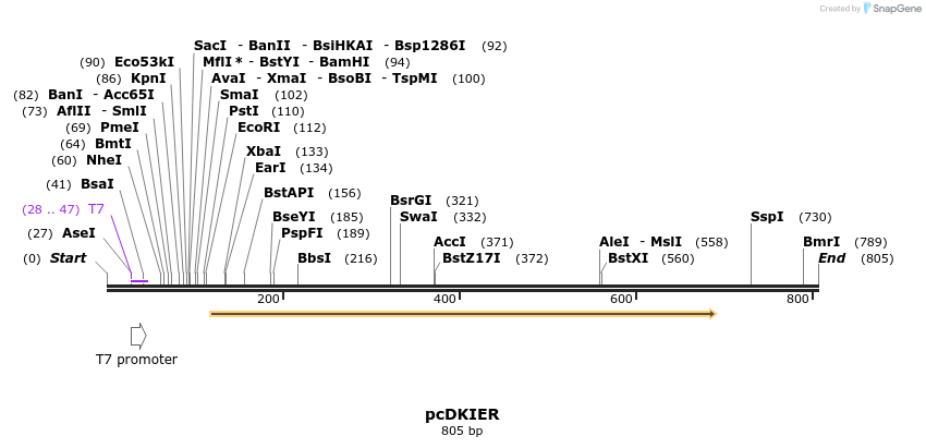 48319_map