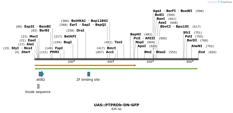 48322_map