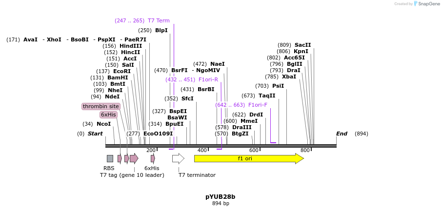 48326_map