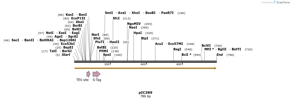 48335_map
