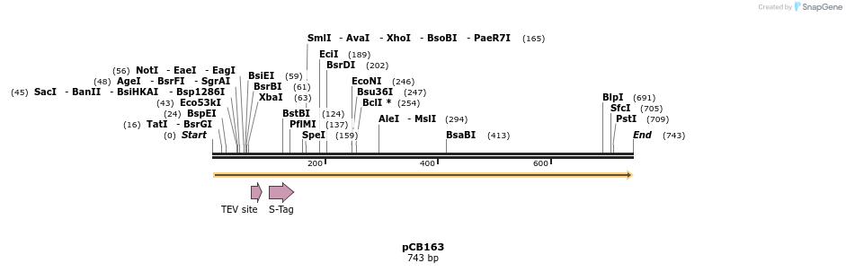 48336_map