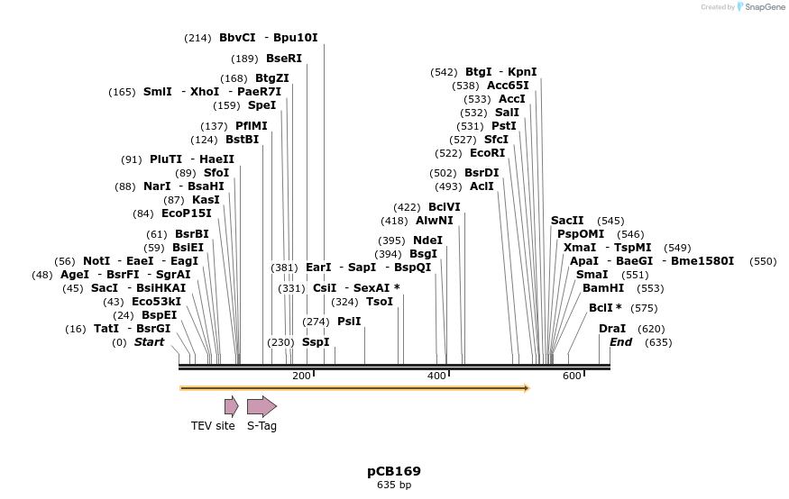 48338_map