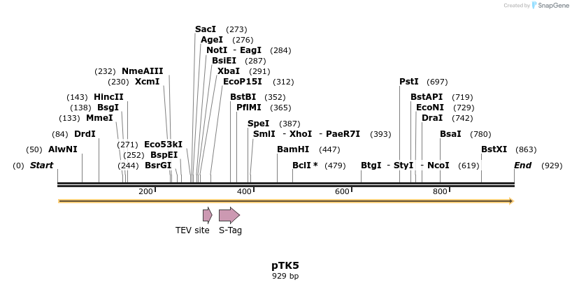 48339_map