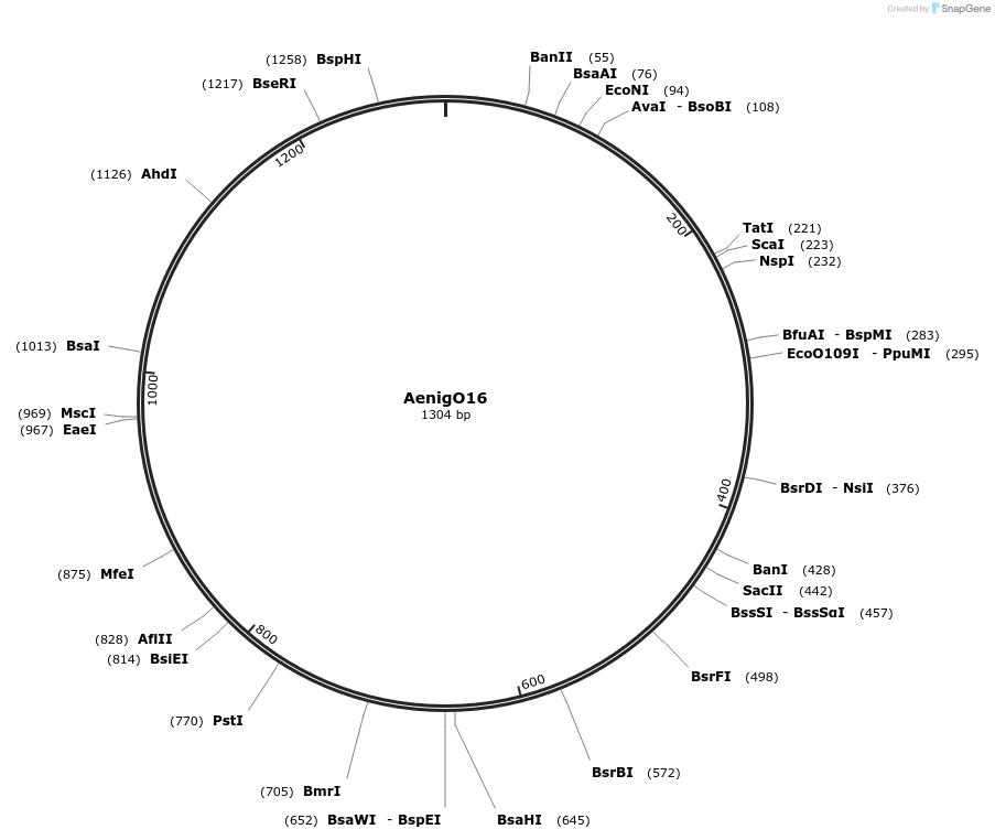 483394_map