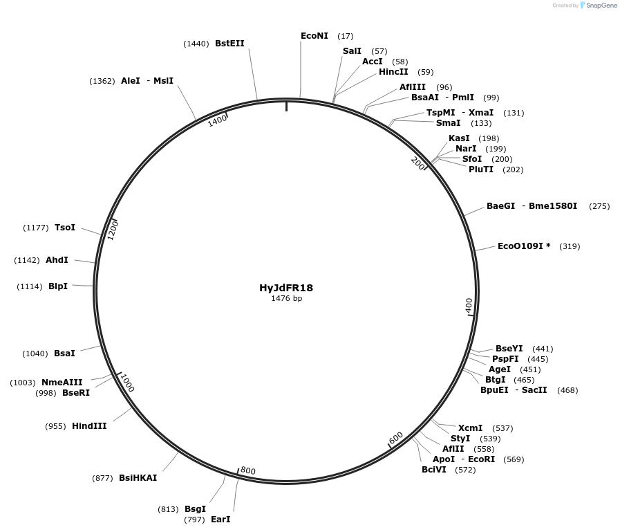 483408_map