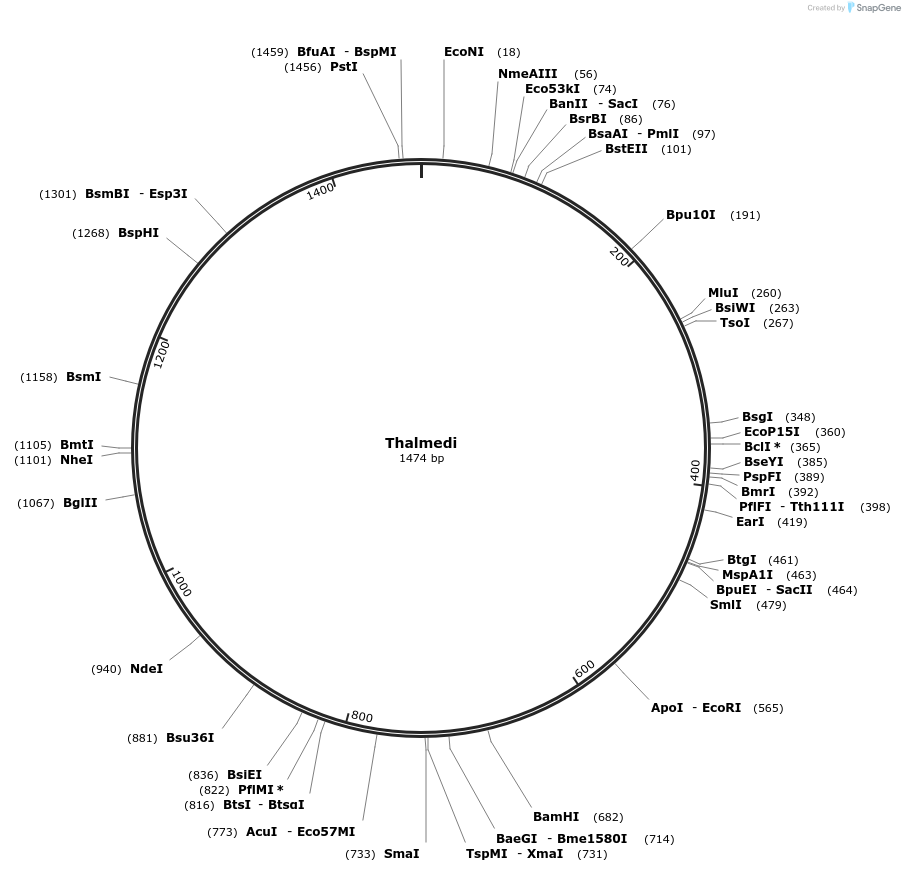 483419_map