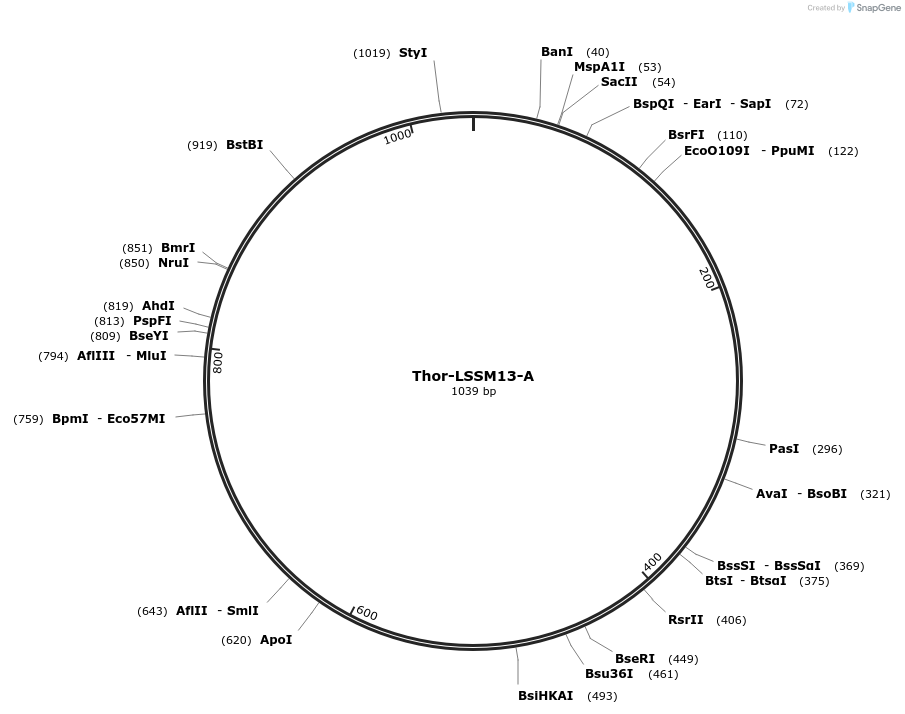 483422_map